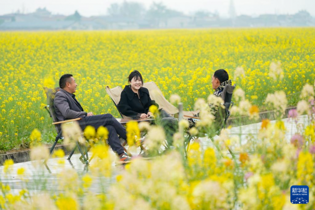 一册繁花 满目春色
