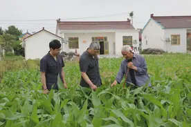 “泥腿法官”的心声图片