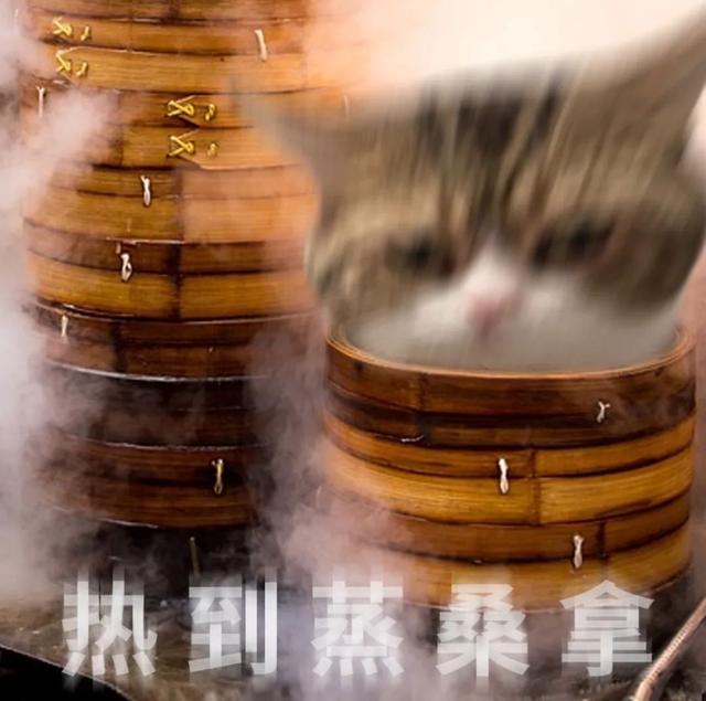 南沙Chill一夏！这些室内活动值得冲！