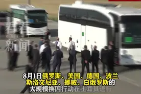 美俄等七国大规模换囚行动在土耳其安卡拉进行图片