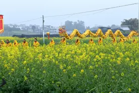推出3条低空赏花专线 成都市金堂县2025年春季乡村文化旅游季开启图片