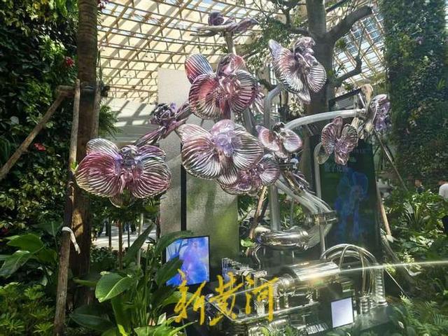 雨天难挡鹊山生态文化区游园情，游客尽享“鹊华烟雨”诗意