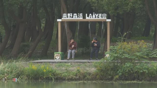 二期开放！未来有民宿、露营区、水上游乐设施