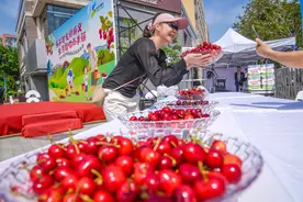 顺义樱桃采摘旅游季今日启幕，5条精品采摘旅游线路发布图片