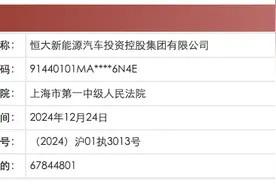 恒大新能源汽车投资控股集团新增被执行人信息，执行标的6784万余元图片