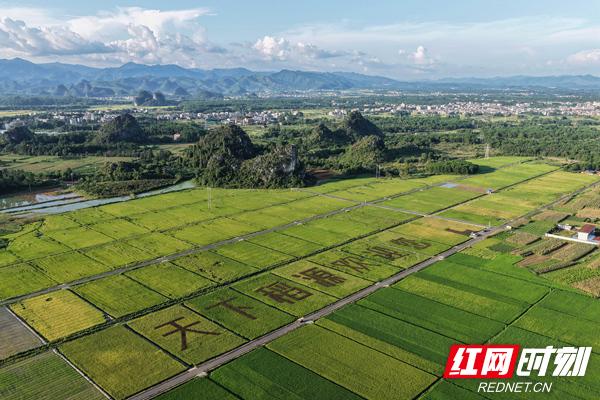 道县问道，来处与去处丨我们奔县吧·道县篇