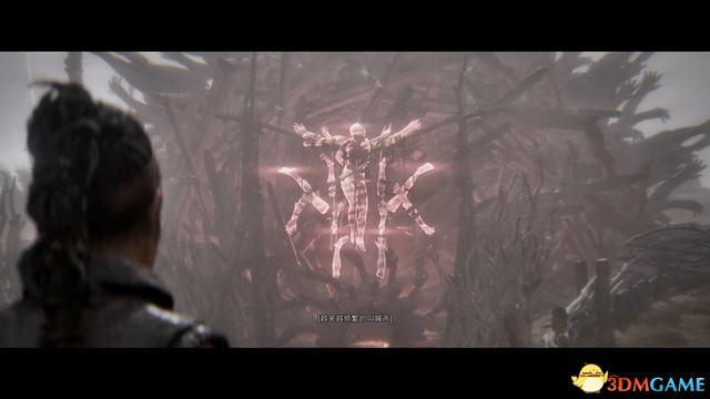 《地狱之刃2：塞娜的献祭》全剧情流程攻略 全收集全章节解密