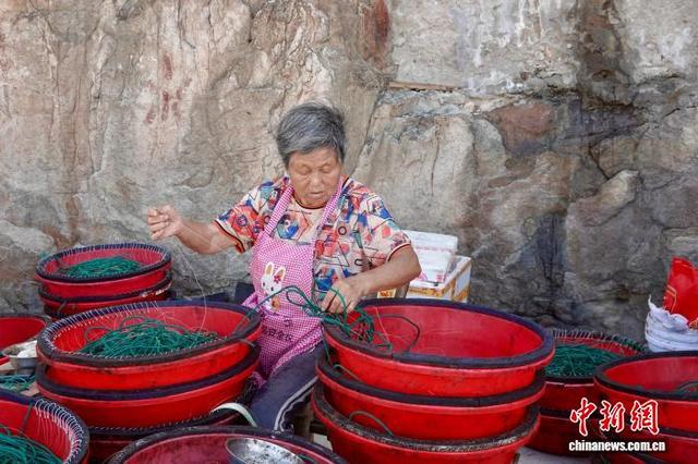 探访浙江舟山“里斯本丸”沉船事件的事发地：暑期海岛旅游热