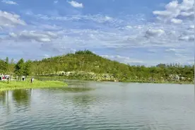 免费预约码竟成“黄牛”摇钱树！上海这个热门景点被热议：检票是不是太松了？图片