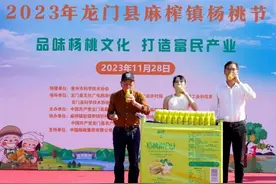 龙门麻榨：发展“深加工”延长产业链，拓宽农民致富路图片