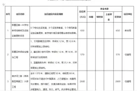 淮涉河二路大修、即墨一中更新、新建21个美丽乡村……即墨印发2024年基本建设类政府投资项目图片