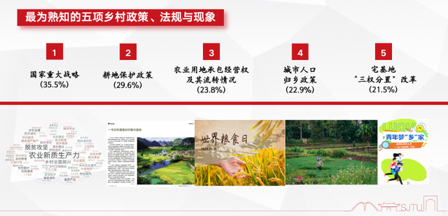 27省份青年入乡调研：还需更多制度性支持与政策性保障