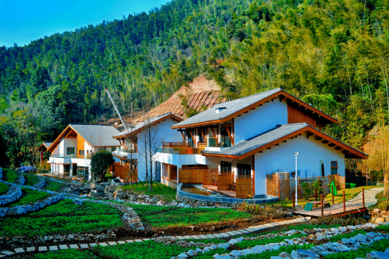 【2025年遂川文旅工作亮点】这一年！遂川文旅实力“圈粉”~