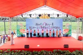 “潮向桥头，玩Gou一夏”！第二十一届东莞桥头荷花节启动图片