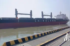 江门⇌巴西，“边检速度”助力又一海运新航线启航图片