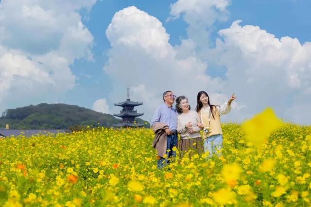 你手里的票根，又升值了！