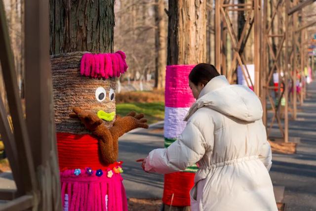 这么萌的树，谁能拒绝！