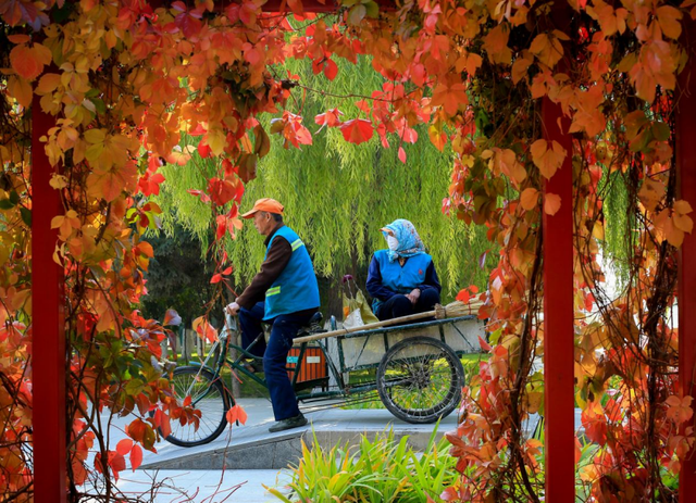 当硬核金川遇上温柔秋天，画面太治愈了！