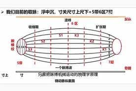 脉诊“读心术”，看齐向华的“系统辨证脉学”视频封面
