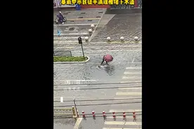 风雨中的感动 暴雨中市民徒手清理被堵下水道图片
