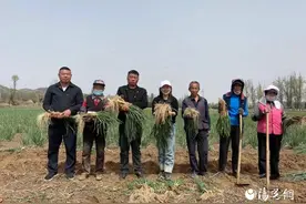 佳县王宇梅入选第四届“百个巾帼好网民故事”暨“十大争做巾帼好网民优秀案例”图片