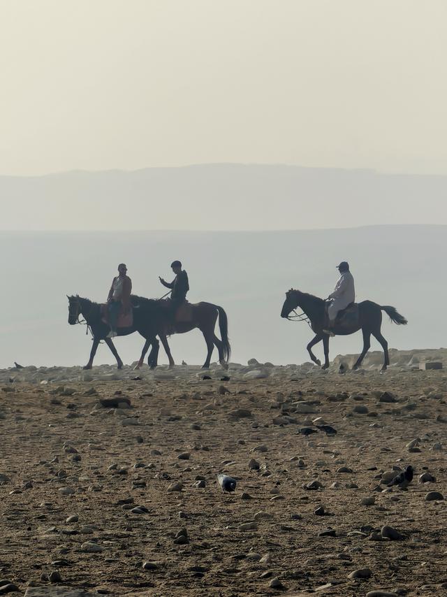 晚潮｜吉萨平原上的背影