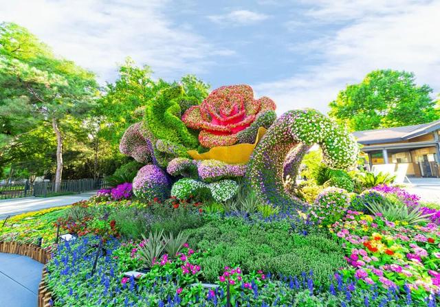 庆华诞 过中秋！百余项游园活动，19个立体花坛等你来