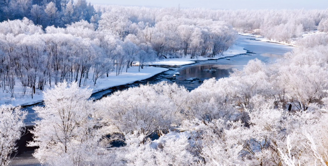 我说“白”了，你有点过分了！