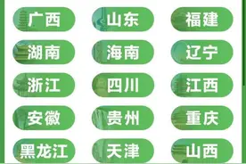 买6000元以内手机最高可获500元国家补贴，怎么买最划算？图片