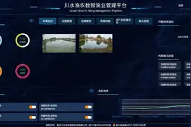 养鱼不“摸鱼”，看AI养鱼新未来图片