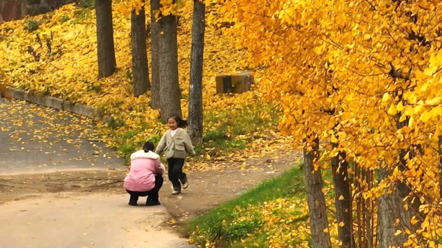 荆州赏秋地图｜不止中心城区！荆州县域秋景图鉴出炉，N个绝美点位等你来打卡！