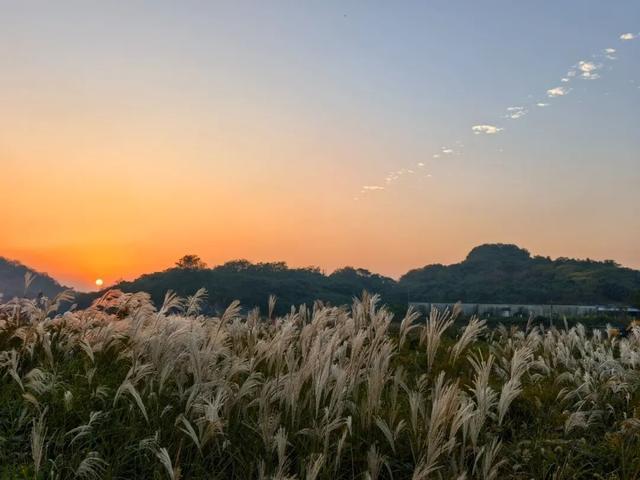 藏不住了！看一眼就“沦陷”！