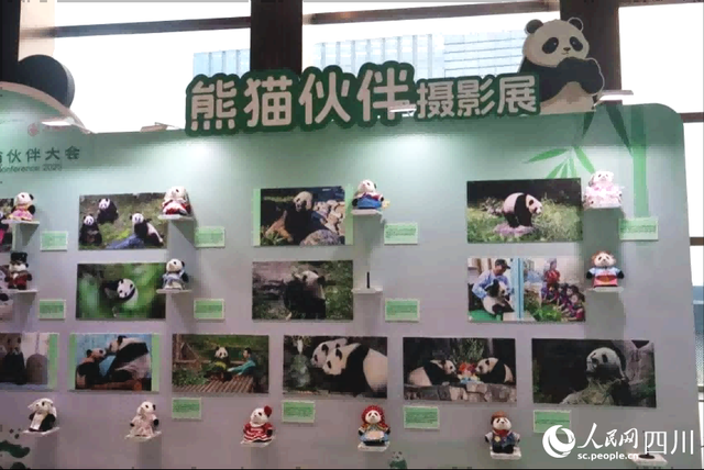 熊猫文创集市点亮蓉城 多元展览推动熊猫IP走向世界