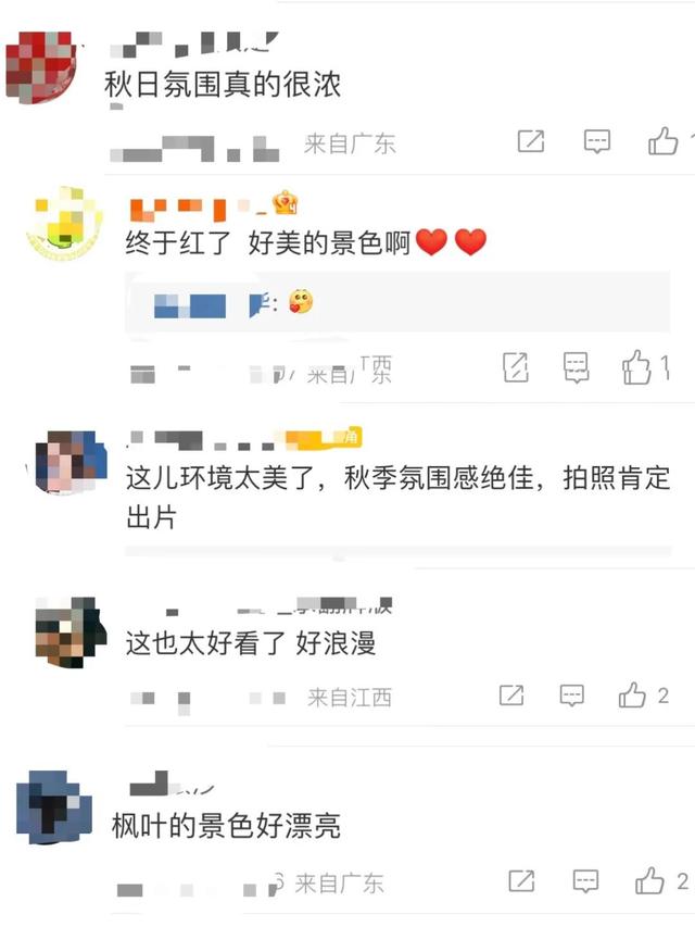 重庆秋色“天花板”火了！最快1小时飚拢！