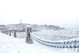 “冰”临城下！暴雪后烟台海边冰凌如柱 宛若“冰河世纪”图片
