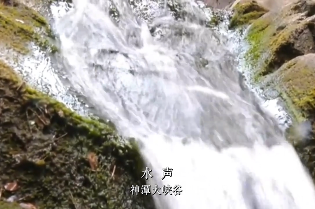 关掉BGM吧！这个夏天，运城大自然的声音比任何音乐都动人