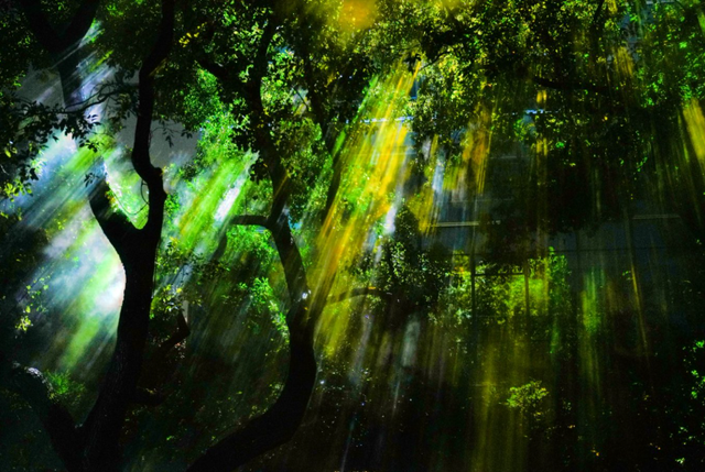 上海的朋友快冲！还有8天！来静安开启梦幻夜游！（超多美图抢先看↗）｜金秋静安·不容错过