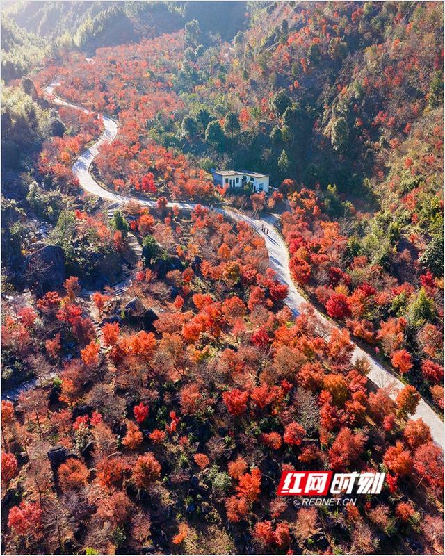 潘华摄影作品：漫步永州蓝山谷 邂逅湘江源头的层林尽染