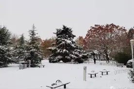假如我是一朵雪花图片