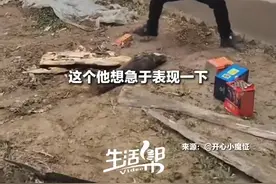 女婿回丈母娘家主动劈柴 下一秒被晾衣绳“掀翻” 想表现一下 结果搞笑了一下图片