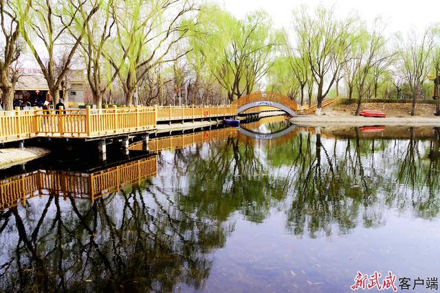 组图丨凉州植物园：春色满园关不住