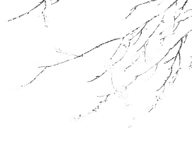 别等了！来九华赏雪景