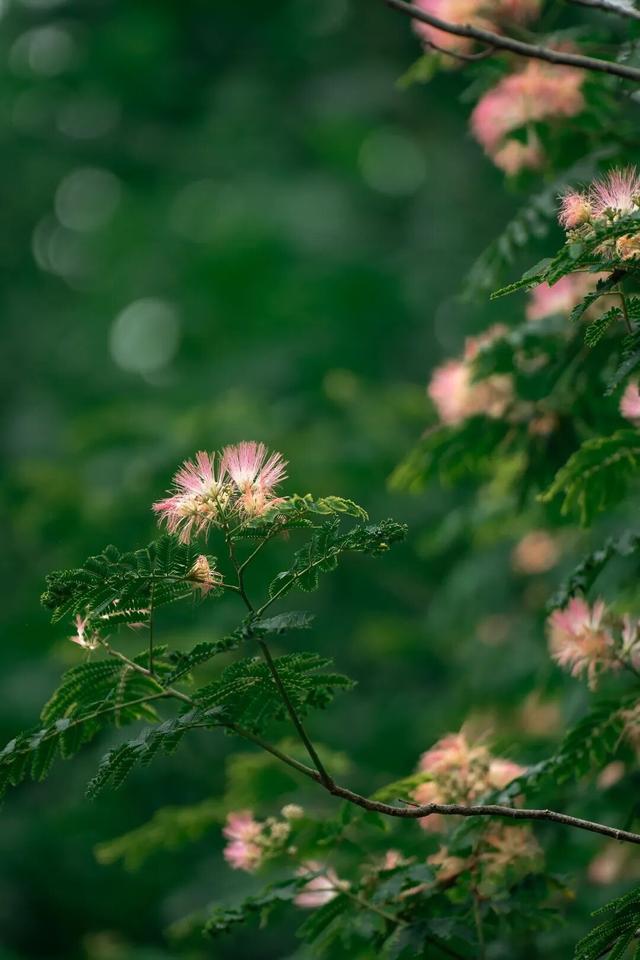 四时天工 扬州如画