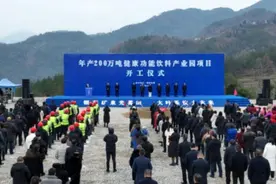 巴中南江：构建产业集群 攻坚全链项目图片