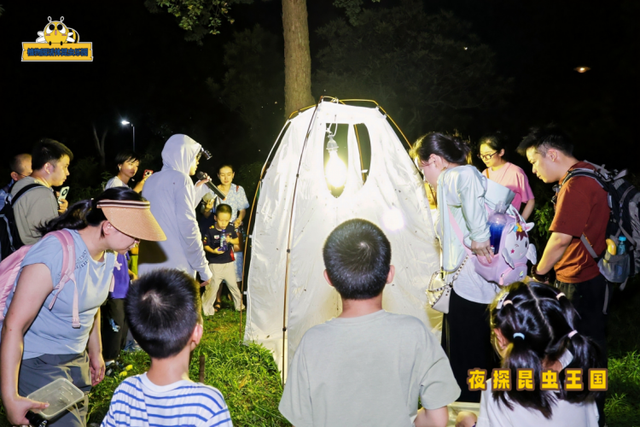 武汉植物园活体昆虫乐园研学课程获评第七届中国科普研学“十佳研学课程”