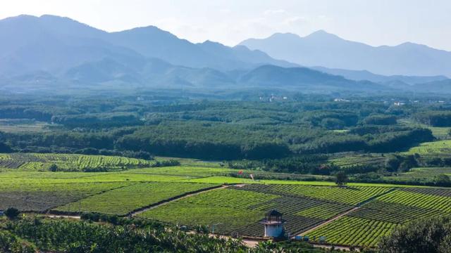 白沙喜提国家2A级旅游景区，陨石坑生态茶园+集市周末联动玩法请收藏！