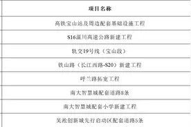 2024年宝山区政府投资重大项目出炉！图片