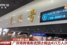 坐着高铁去香港 乘坐跨境高铁“保姆级”攻略请收藏图片