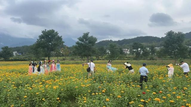 罗田秋韵：杜鹃漫坡映碧水，红叶景区花满岸