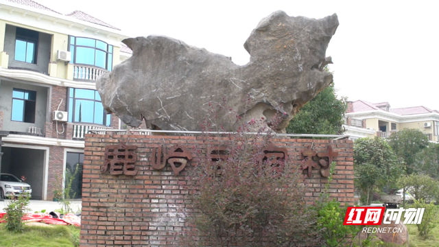 北湖隐藏的宝藏民宿村！抱团出圈，让人心动~